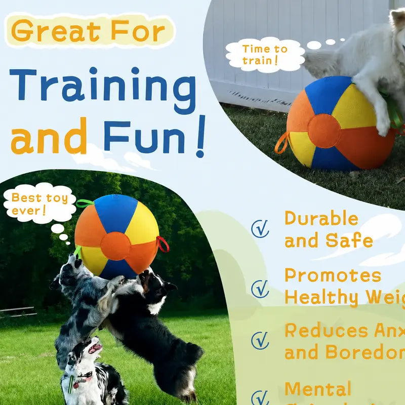 Interactive Push-and-Pull Outdoor Dog Toy