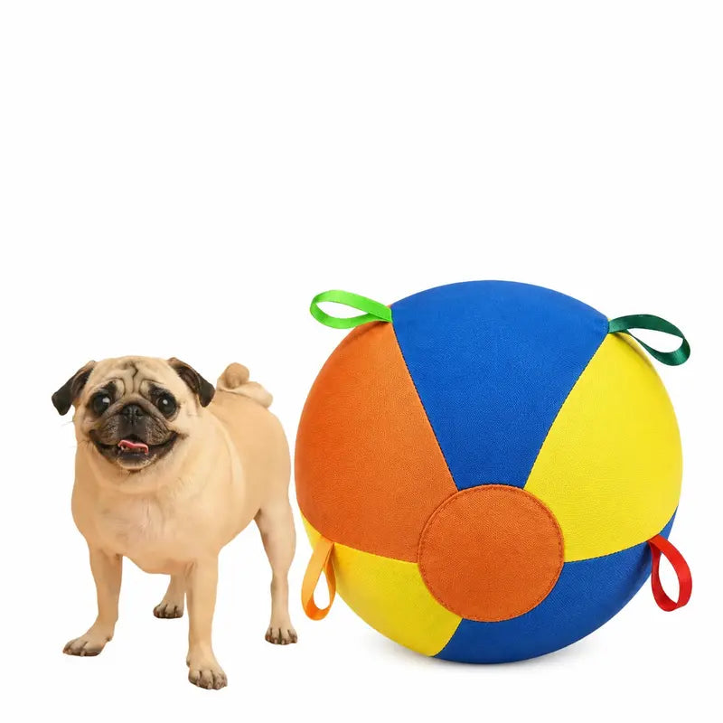 Interactive Push-and-Pull Outdoor Dog Toy