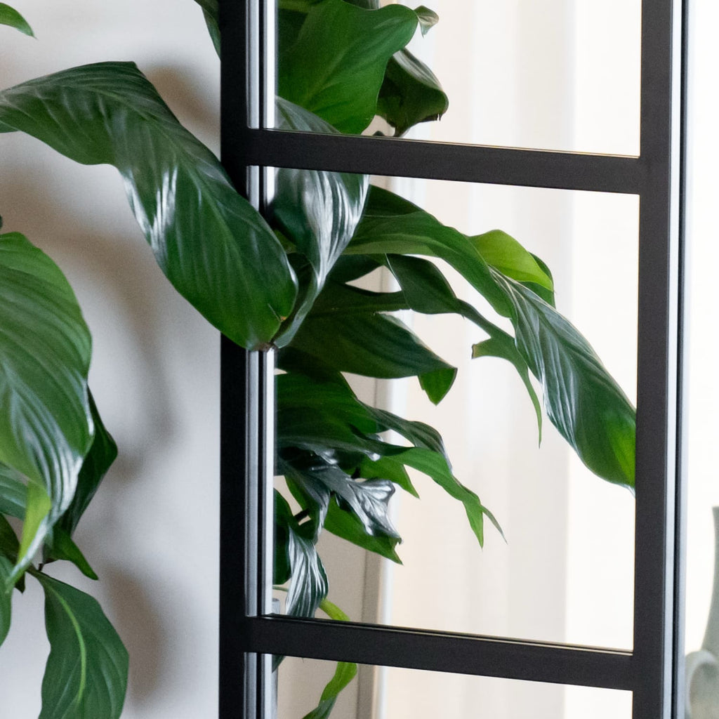 Mio- Full Length Black Metal Arched Window Mirror - 200cm x 120cm